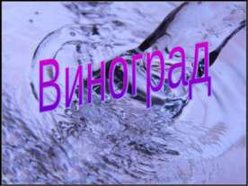 Виноград