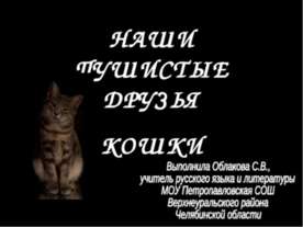 Наши пушистые друзья. Кошки