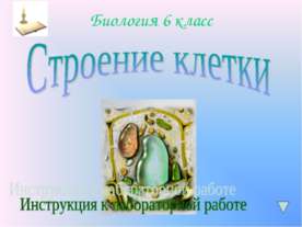 Строение клетки 6 класс