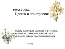 Цветок и его строение
