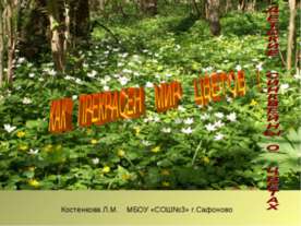 Как прекрасен мир цветов!