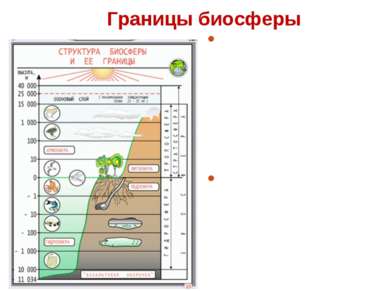 Нарисуйте схему границы биосферы покажите штриховкой область земли в которой существует жизнь 6