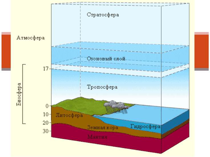 Биосфера рисунок 6 класс география