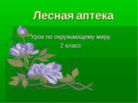 Лесная аптека