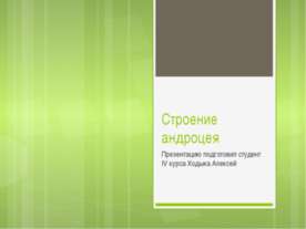 Строение андроцея