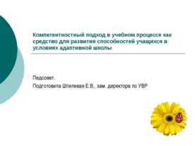 Компетентностный подход в учебном процессе как средство для развития способно...