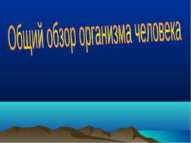 Общий обзор организма человека