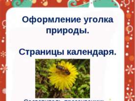 Оформление уголка природы