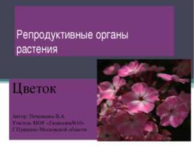 Репродуктивные органы растения