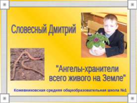 Ангелы-хранители всего живого на Земле