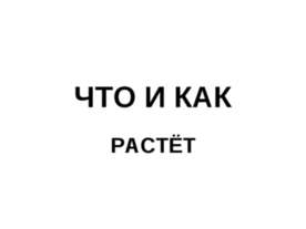 Что и как растёт
