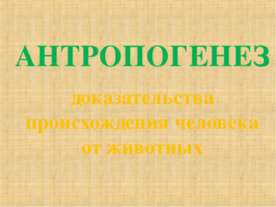Антропогенез доказательства происхождения человека от животных