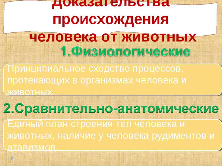 Презентация сходство человека с животными и отличие от них