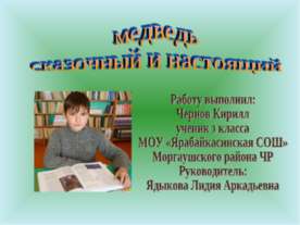 Медведь сказочный и настоящий
