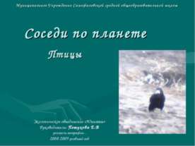 Соседи по планете Птицы