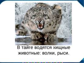 Зрительный диктант13