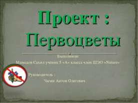 Первоцветы 5 класс