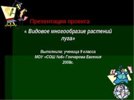 Видовое многообразие растений луга