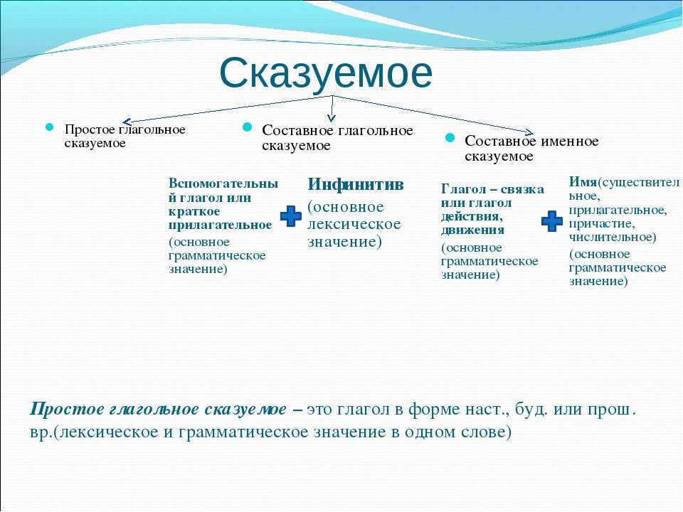 Простое глагольное составное глагольное составное именное. Простое и составное глагольное сказуемое. Простое и составное сказуемое. Типы составных именных сказуемых. Простое глагольное составное.