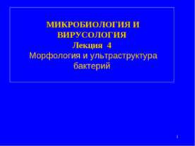 Морфология и ультраструктура бактерий