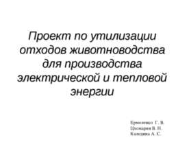 Проект по утилизации отходов животноводства для производства электрической и ...