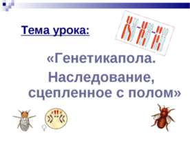 Генетикапола. Наследование, сцепленное с полом