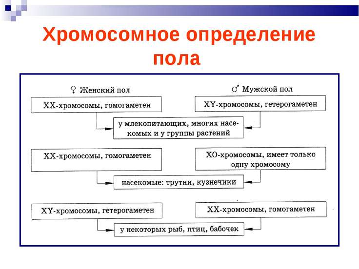 Основания наследования презентация