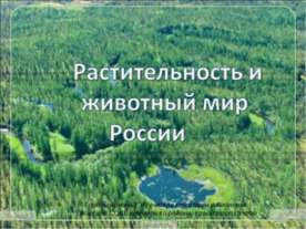 Растительность и животный мир России
