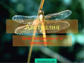 Животные Австралии