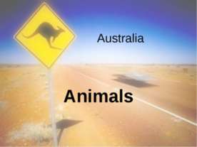 Australia Animals