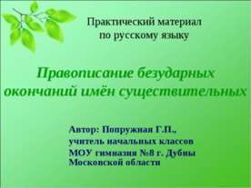 Правописание безударных окончаний имён существительных