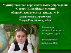 Лекарственные растения Северо-Енисейского района