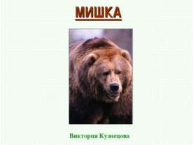 Мишка косолапый