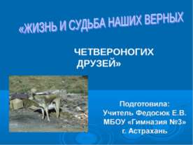 Жизнь четвероногих