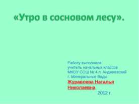 Утро в сосновом лесу