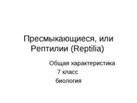Пресмыкающиеся, или Рептилии (Reptilia)