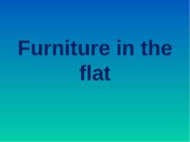 Furniture in the flat