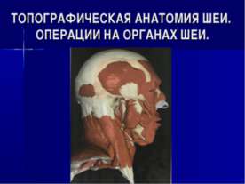 Топографическая анатомия шеи. Операции на органах шеи