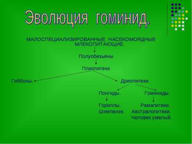 Положение человека в системе животного мира презентация 11 класс