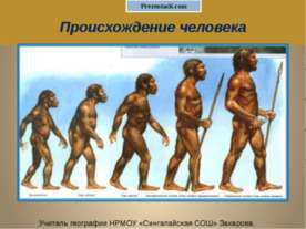 Происхождение человека 11 класс
