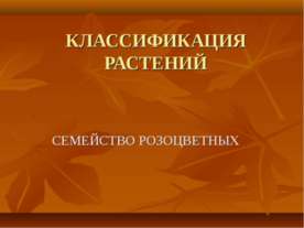 КЛАССИФИКАЦИЯ РАСТЕНИЙ. СЕМЕЙСТВО РОЗОЦВЕТНЫХ