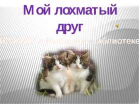 Зоошоу в Рыбацкой библиотеке