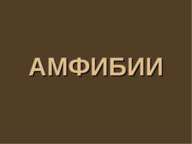 Амфибии