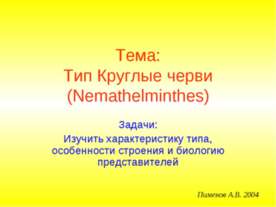 Тип Круглые черви (Nemathelminthes)
