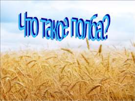 Что такое полба?