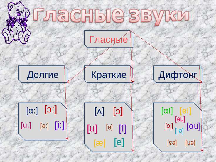 Глухие звуки в английском. Английские гласные буквы и звуки. Краткий звук а в английском языке. Краткие гласные в английском языке. Гласные и согласные звуки в английском языке.