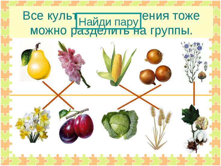 Культурные растения картинки