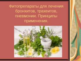 Фитопрепараты для лечения бронхитов, трахеитов, пневмонии. Принципы применения