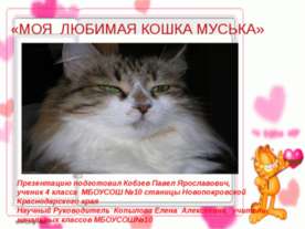 Моя любимая кошка Муська