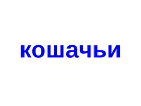 Кошачьи
